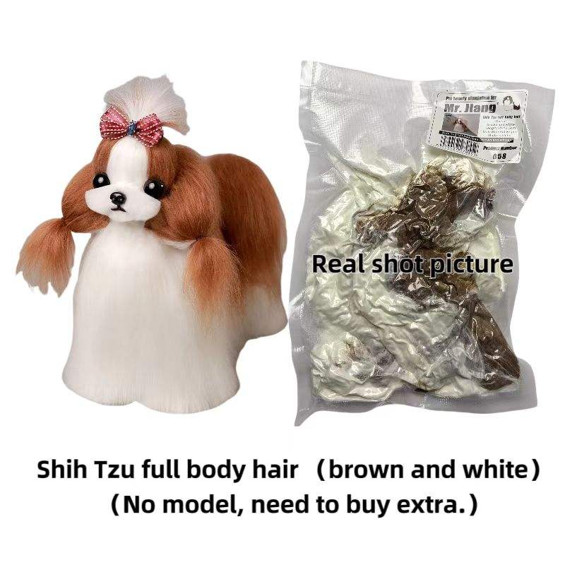 Poils complets du Shih Tzu (marron et blanc)