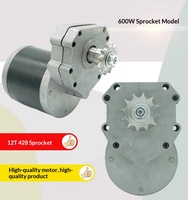 Motor para Cortacésped de 4 Ruedas con Tracción en las 4 Ruedas, de CC, con Imán Permanente Cepillado, Alto Torque, Eléctrico, con Engranajes, 24V 12V 48V 350W 600W 800W, IP65, 19.1Nm