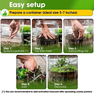 Eco Recycle Terrarium Starter Kit Coco cocco torba muschio di pino corteccia Perlite maglia pomice barriera cura strumenti guida <span class=keywords><strong>libro</strong></span> - Product Image 4