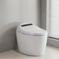 Projet d'exportation - Certification CE UE - Toilette intelligente à commande à distance en acier inoxydable, à poser au sol, entièrement automatique