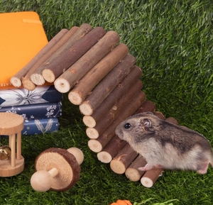 Giocattoli Interattivi per Piccoli Animali con Accessori da Masticare in Gomma e Legno, Confezionati in Cartone per Criceti, Porcellini d'India e Altro - Product Image 3