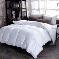 Vente chaude quatre saisons épaissi automne hiver couette confortable coton plume soie velours canard couette-hôtel cadeau-vente en gros