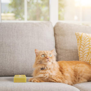 プライベートブランド 天然オーガニック 固形 ドッグソープ ペット用全身シャンプーバー - Product Image 6