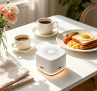 2026 Machine à bruit blanc portable rechargeable DC avec minuterie pour la relaxation sonore et la régulation du rythme quotidien