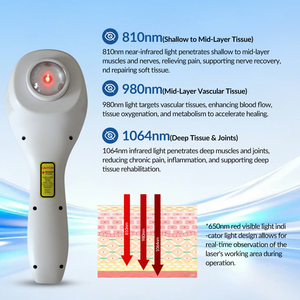 Dispositivo Laser Freddo Terapeutico Portatile di Classe 4 a Luce Rossa 980nm per Trattamento di Gonfiori alle <span class=keywords><strong>Caviglie</strong></span>, Articolazioni di Cani e Cavalli - Product Image 2