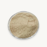 Échantillon Gratuit Naturel : Extrait de Grains Paradise (Aframomum Melegueta) en Poudre Qualité Alimentaire, Stock en Gros