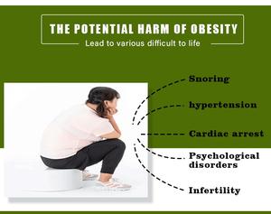 Thé Minceur Détox 28 Jours : <span class=keywords><strong>Avis</strong></span> et Avisements – Thé Minceur Rapide Oolong Moringa de Chine – Meilleur Thé Minceur pour la Perte de Poids et un Ventre Plat - Product Image 4