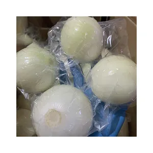 Cheap Price China Supplier Export Onions Sale Peel Sweet Fresh Onions