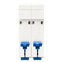CHINT Original nouveau MCB NXB-63 2P C10 50HZ disjoncteur Miniature