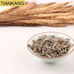 Pabrik Grosir Rumput Ekor Tikus Langsung dari Cina, Obat Herbal Terbaik, Harga Terbaik, Herbal Sage Putih Kering - Product Image 5