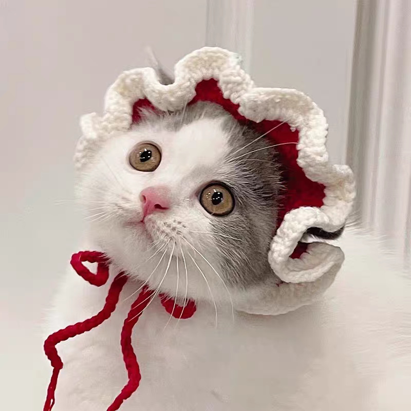 A16
