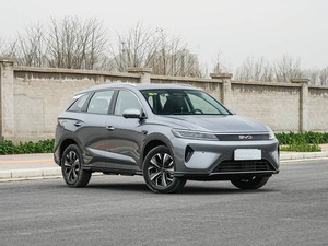 2025 Ultra Smart Sea Lion 05 DM-i 115 km Honor Version New Energy Vehicle con 115Km de alcance y batería de 18.3kWh de carga rápida - Product Image 4