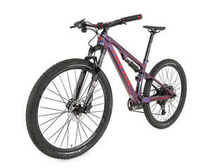 <span class=keywords><strong>TWITTER</strong></span> OVERLOAD 27.5er T900 Vélo de montagne en fibre de carbone 29 pouces Vélo de descente tout suspendu pour hommes - Product Image 6