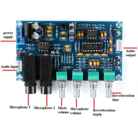 PT2399 double AC12V électronique bricolage PCB karaoké Module de réverbération comparateurs linéaires amplificateur numérique amplificateurs Audio