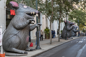 Hot bán Chicago sinh ra bơm hơi khổng lồ Phản đối rat Inflatable scabby rat/chuột động vật mô hình cho Đường Phố Cảnh báo trang trí - Product Image 4