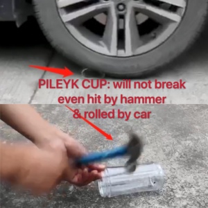 Misturador de vidro, espremedor de vidro de grande potência dupla, máquina integrada para servir garrafa misturadora - Product Image 3