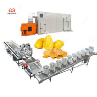Automatische Tunnel Cassave Slice Drooglijn Droge Fruitverwerkingsfabriek Jackfruit Gedroogde Fruitverwerkingsmachine
