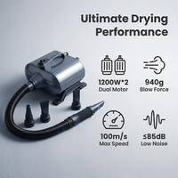 Secador de Autos Shernbao DHD-3000F de 3000W con Doble Motor, Secador de Aire para Motocicletas, Soplador de Aire para Bicicletas, Soplador de Polvo para Autos