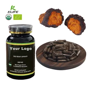 Chaga Organic Wholesale Bulk Organic Inonqqus Obliquus Chaga Mushroom Extract Powder