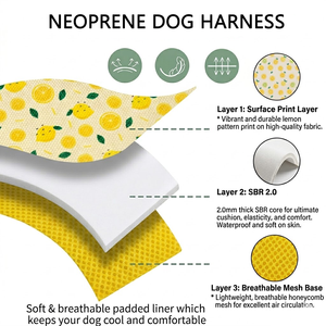 Arnés Personalizado para Perro, Conjunto de Arnés Ajustable de Neopreno, Correa Acolchada Suave, <span class=keywords><strong>Collar</strong></span> para Cachorro, Arnés para Perro, Fabricación OEM Premium - Product Image 3