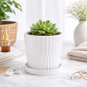 Pot de fleurs en céramique rétro personnalisé en usine, petit pot <span class=keywords><strong>pour</strong></span> cactus, support <span class=keywords><strong>pour</strong></span> <span class=keywords><strong>plantes</strong></span> succulentes, pot de fleurs blanc avec plateau en <span class=keywords><strong>bambou</strong></span> - Product Image 2