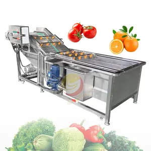 Commerical Electric Crate Vegetable Conveyor Belt Washer Bubble Potato Avocado Fruit Wash Machine