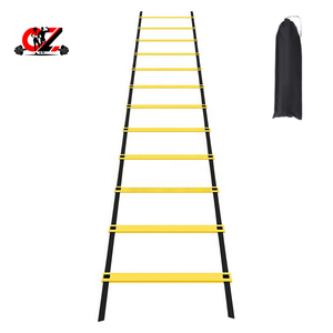 Fabricante de Escaleras de Agilidad al por Mayor, Logotipo Personalizado OEM, PP/Nylon Duradero y Ligero, Equipo de Entrenamiento Deportivo para Baloncesto y Fitness - Product Image 1