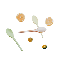 Ensemble de couverts CPLA pour usage commercial, biodégradable, compostable, écologique, cuillère, fourchette, couteau