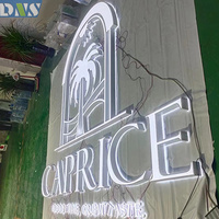 Enseigne de magasin en acrylique doré illuminé, acier inoxydable, couleurs lumineuses personnalisables, lettres LED rétroéclairées, entreprises, hôpitaux