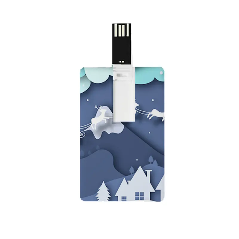 BYL cazip özelleştirilmiş iş hediye logosu baskı Usb bellek 16gb 32gb yüksek kalite Usb Usb bellek sürücü plastik anahtar kredi kartı