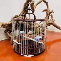 Nouvelles cages métalliques de grande taille pour oiseaux, perroquets, canaris et ménagères, vente en gros usine 2026