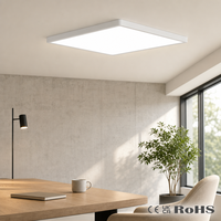 Plafonnier LED carré encastré OEM 11,61-12 pouces 12W 2600LM, télécommande CCT réglable, ultra-plat 0,98 pouces, 220V-240V, certifié CE UKCA