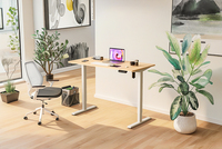 Bureau debout électrique à moteur unique, réglable en hauteur, extensible, mécanique, pour ordinateur et PC