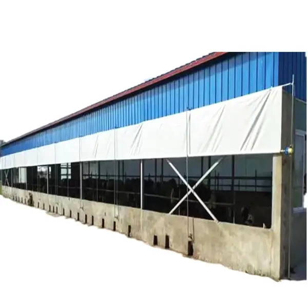 Chicken Egg Farming House Insulated Light Steel Structure Chicken Shed Steel Poultry Breeding House for Sale