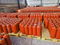 Approvisionnement direct des usines chinoises : Extincteurs domestiques au CO2 les plus vendus (2 kg, 3 kg, 6 kg, etc.)
