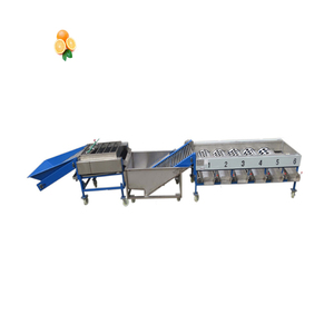 <b>Chestnut</b> Dates Tomato Sorting Machine Potato Onion Tomato Grading Machine Fruit and Vegetables Sorting Machine in India - Product Image 4