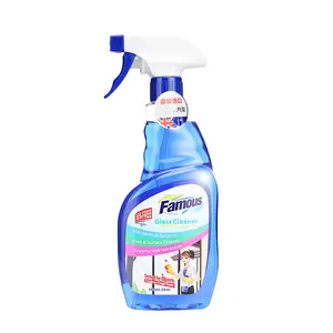 Famous Cleaner Windows Cleaner Magnetic Window Glass Wiper Cleaner best price