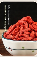 Ningxia Zhongning Goji Berry kering Premium 250g tas tersegel pabrik nutrisi tinggi ukuran besar 250g Per pak