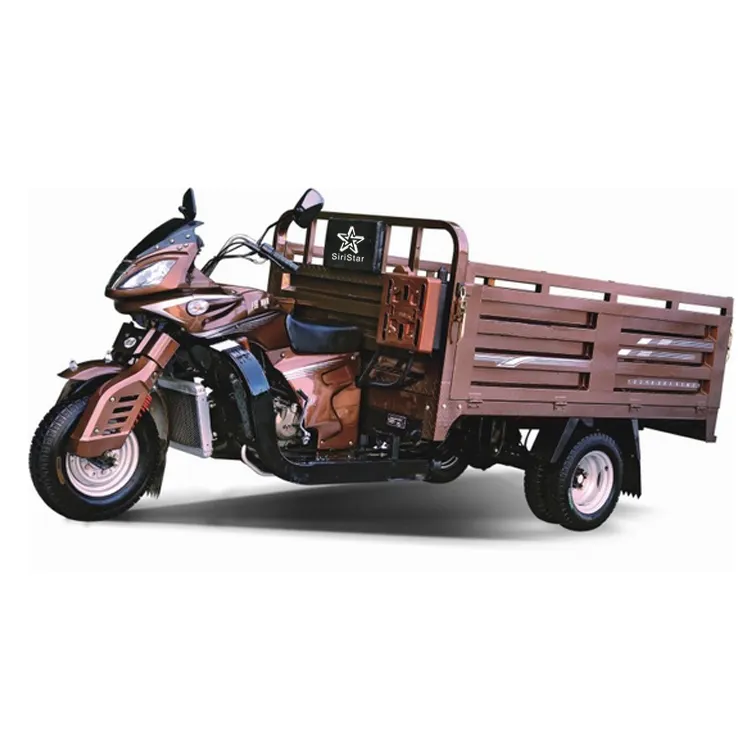 Nuevo tipo mejor precio usado 150 cc 200 cc 250 cc motocicleta gasolina 3 ruedas triciclo bicicleta en África