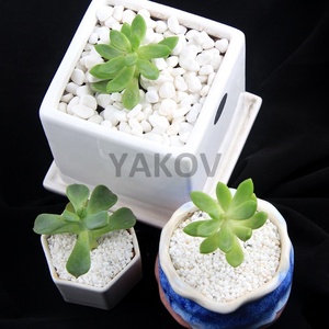 Naturale tumbled neve bianco ciottoli di pietra <span class=keywords><strong>per</strong></span> bonsai e semi di <span class=keywords><strong>piante</strong></span> <span class=keywords><strong>grasse</strong></span> - Product Image 4