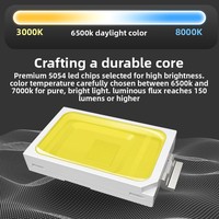 Projecteur LED 200W modulaire à haut lumen 160lm/w IP65 CE ROHS en aluminium moulé sous pression 5000K Projecteur LED modulaire pour stade et tunnel