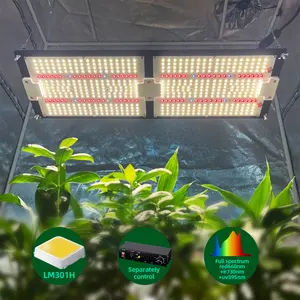 10% desconto 240W crescer luz Pré-montado LM301H EVO UV IR levou placas 660nm para Veg e flor Meawell driver Samsung lm301h