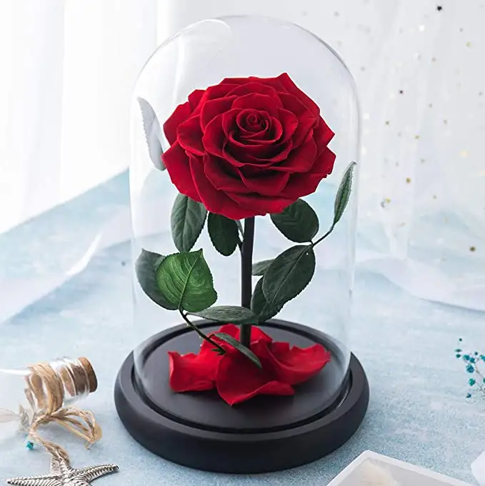 UO Best Sellers Factory Wholesale 10-12CM Beauty and The Beast Customized Plate Preserved Rose in Glass Dome