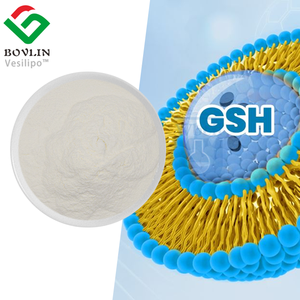 Pó de Glutationa Reduzida Lipossomal GSH CAS 70-18-8, Fornecimento de Glutationa Lipossomal Reduzida de Grau Alimentício 70% - Product Image 3
