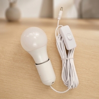 Ampoule LED 12V pour usage extérieur avec câble de 5 m, prise DC5521, interrupteur marche/arrêt, crochet métallique pour un accrochage facile