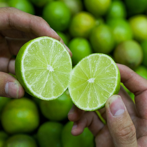 Meilleur prix Citrons verts frais sans pépins Taille 4,5-6 cm Paquet de 10 kg Durée de conservation de 5 mois Certifié HACCP ISO Origine Vietnam/Hazel - Product Image 1