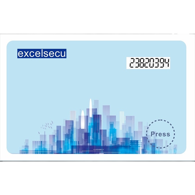 CPU Chip E-ink Display OTP Bank Visa Credit Cards