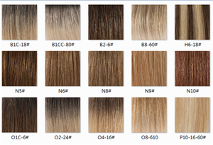 50+ Different Balayage T Colors Hair Extension Swatch Tape Hair for Wholesale Customers and Salon <strong>Stylists</strong> - Product Image 5