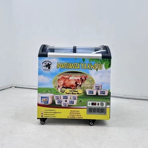 Vitrine réfrigérée pour glaces, sorbets et crèmes glacées, avec porte coulissante en verre personnalisée, vente chaude, prix bas - Product Image 6