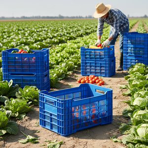 Etap KE 970 Professional Perforated Plastic <b>Crate</b> Heavy Duty Stackable Industrial Storage Agriculture Harvest Purpose Recyclable - Product Image 3